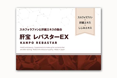 レバスターEX